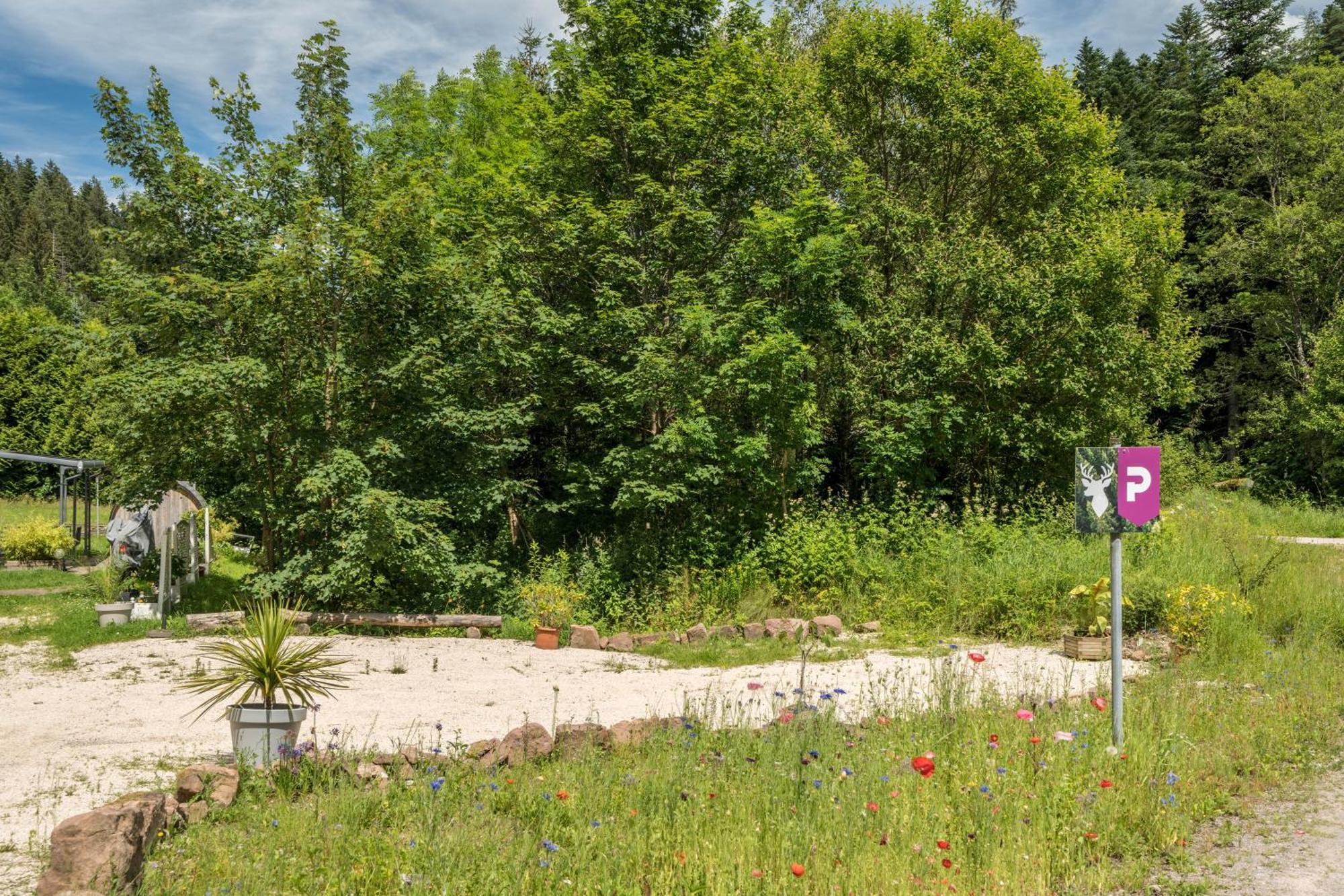 Ferienwohnung Waldblick Freudenstadt Exteriör bild